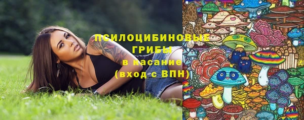 таблы Михайлов